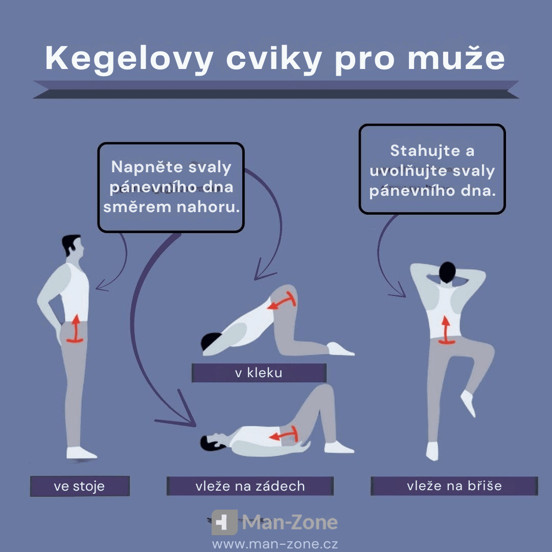 Panvové dno pod kontrolou: 6 kegelových cviků pro mužskou sílu a výdrž infografika-kegelovy-cviky-pro-muže-ve-stoje-v-kleku-vleže-na-zádech-vleže-na-břiše-kontrola-nad-předčasnou-ejakulací-zdravější-prostata-prevence-inkontinence